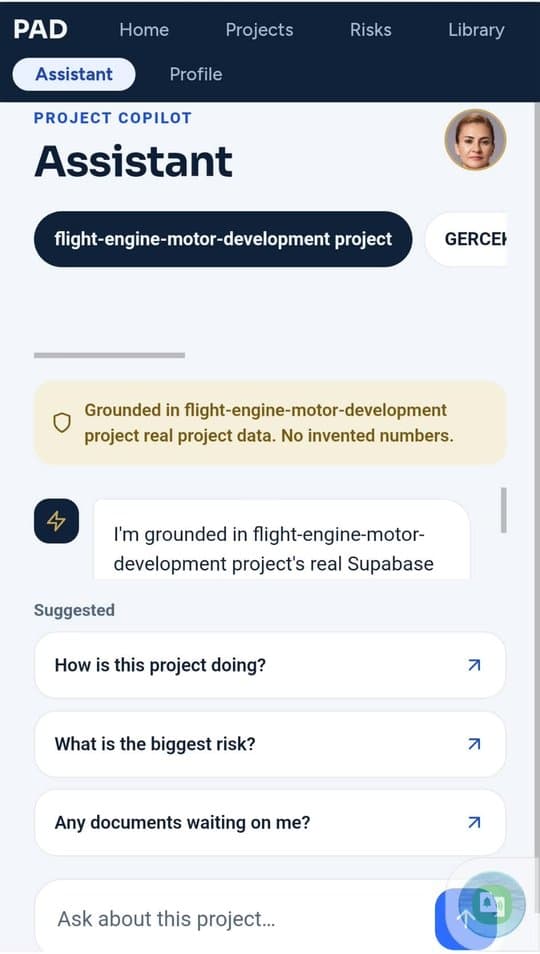 PAD AI project assistant